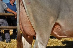 k-14DSC_6830